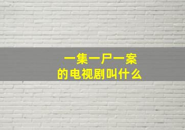 一集一尸一案的电视剧叫什么