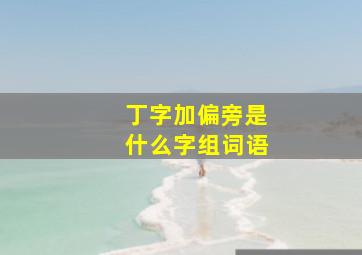 丁字加偏旁是什么字组词语