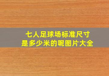 七人足球场标准尺寸是多少米的呢图片大全