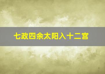 七政四余太阳入十二宫