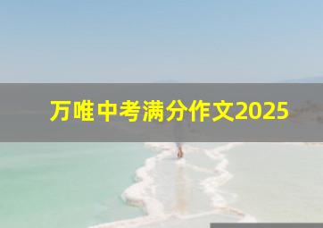 万唯中考满分作文2025