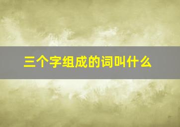 三个字组成的词叫什么