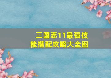 三国志11最强技能搭配攻略大全图