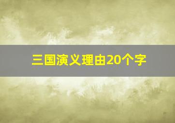 三国演义理由20个字