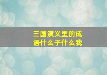 三国演义里的成语什么子什么我