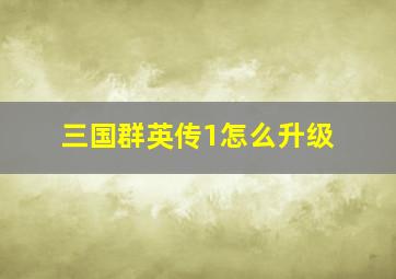 三国群英传1怎么升级