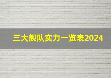 三大舰队实力一览表2024