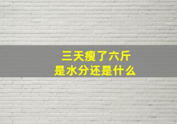 三天瘦了六斤是水分还是什么