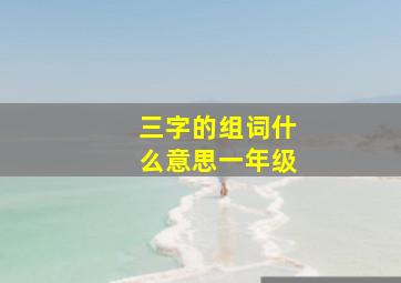 三字的组词什么意思一年级