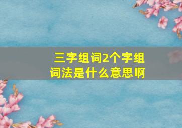 三字组词2个字组词法是什么意思啊