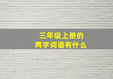 三年级上册的两字词语有什么