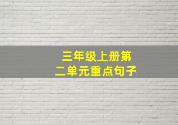 三年级上册第二单元重点句子