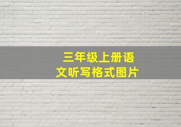 三年级上册语文听写格式图片