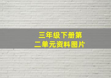 三年级下册第二单元资料图片