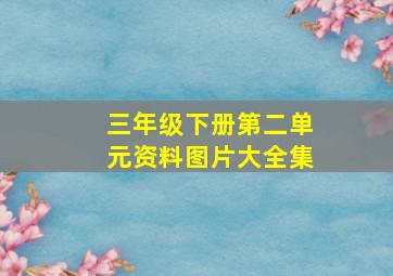 三年级下册第二单元资料图片大全集