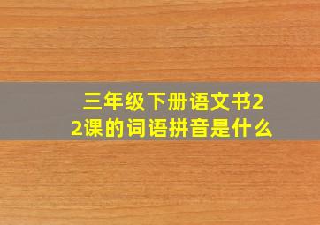 三年级下册语文书22课的词语拼音是什么