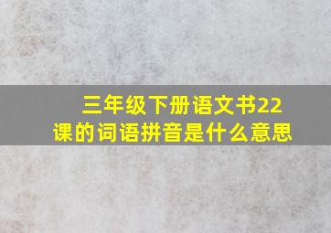 三年级下册语文书22课的词语拼音是什么意思