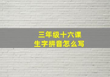 三年级十六课生字拼音怎么写