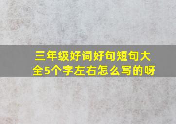 三年级好词好句短句大全5个字左右怎么写的呀