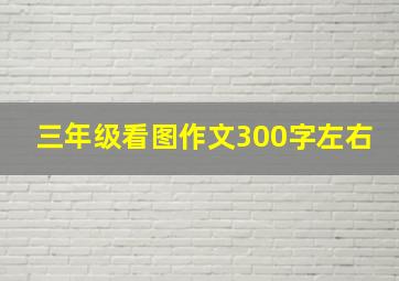 三年级看图作文300字左右