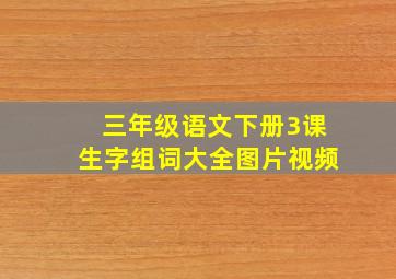 三年级语文下册3课生字组词大全图片视频