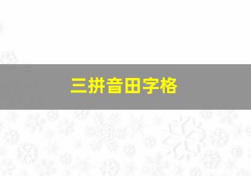 三拼音田字格