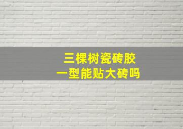 三棵树瓷砖胶一型能贴大砖吗