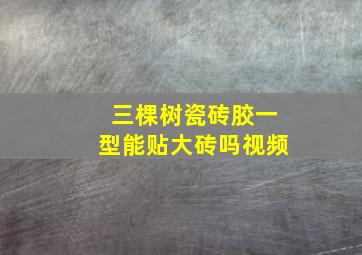 三棵树瓷砖胶一型能贴大砖吗视频