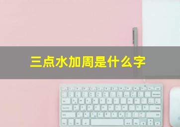 三点水加周是什么字