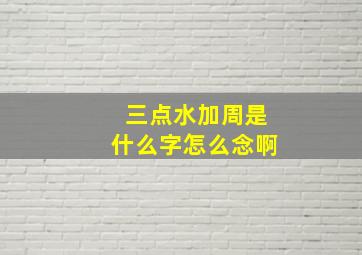 三点水加周是什么字怎么念啊