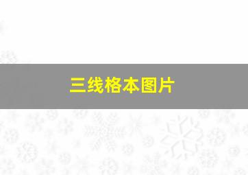 三线格本图片