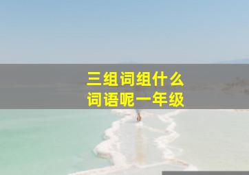 三组词组什么词语呢一年级