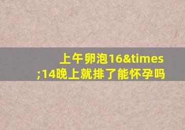 上午卵泡16×14晚上就排了能怀孕吗