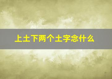 上土下两个土字念什么