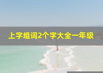 上字组词2个字大全一年级