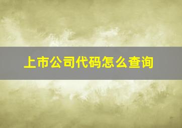 上市公司代码怎么查询