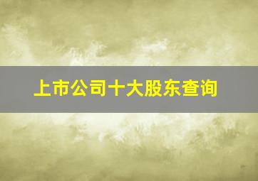 上市公司十大股东查询