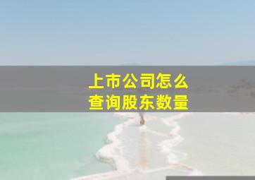 上市公司怎么查询股东数量