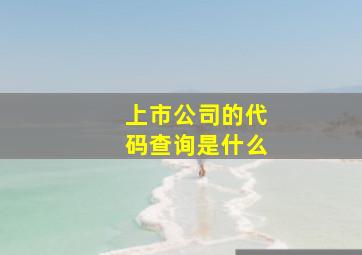 上市公司的代码查询是什么