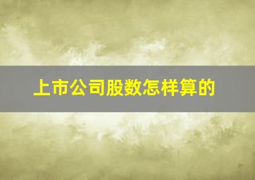 上市公司股数怎样算的