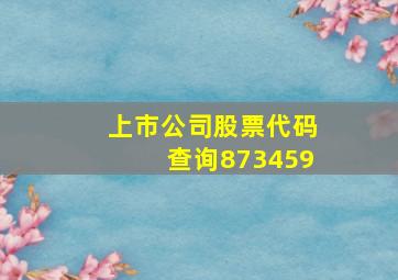 上市公司股票代码查询873459