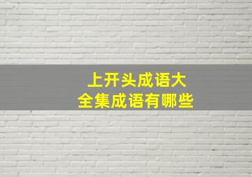 上开头成语大全集成语有哪些