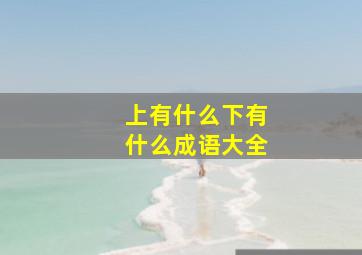 上有什么下有什么成语大全