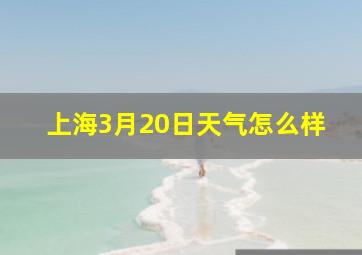 上海3月20日天气怎么样