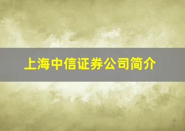 上海中信证券公司简介