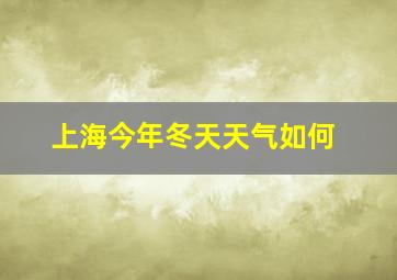 上海今年冬天天气如何