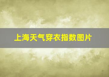 上海天气穿衣指数图片