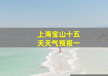 上海宝山十五天天气预报一