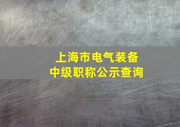 上海市电气装备中级职称公示查询