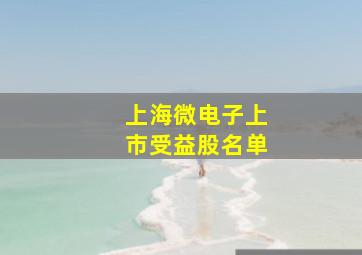 上海微电子上市受益股名单